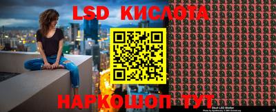 прущие грибы Обнинск