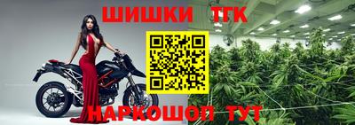сатива Обь